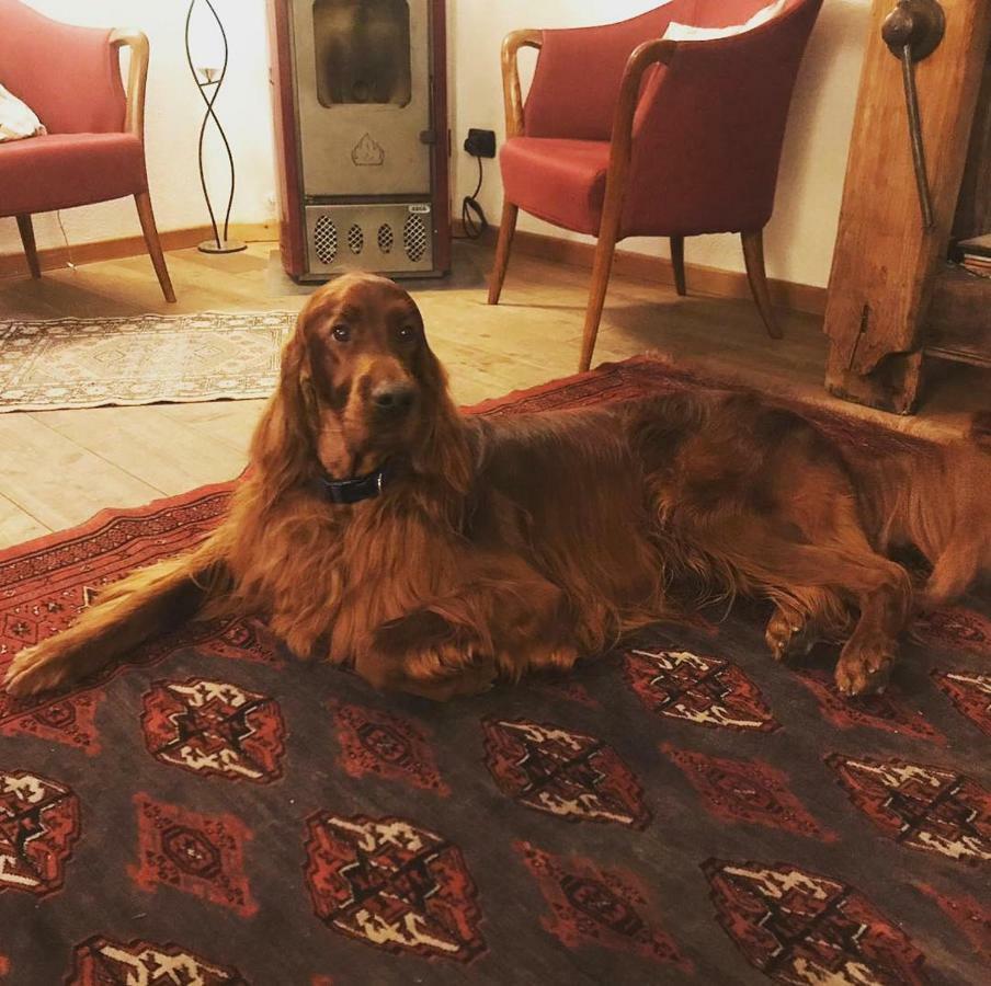 Albergo Aprica Garni Kültér fotó